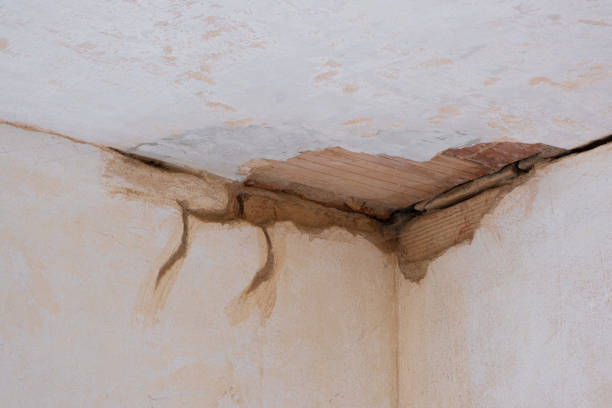 Best Sewage cleanup and water damage restoration  in Hatboro, PA