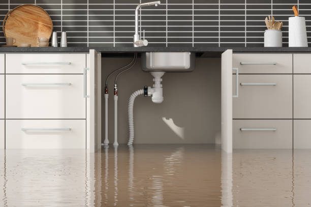 Best Flood restoration services  in Hatboro, PA